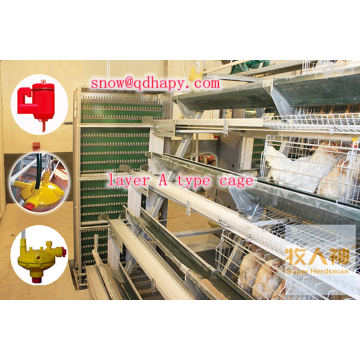 Professional Chicken Cages in Poultry House in Hot Sale